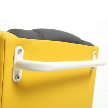 Sillón Elevador con Ruedas ProClassic